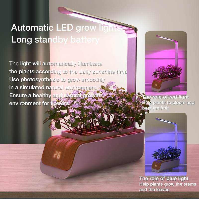 Smart LED desk lamp with hydroponic indoor herb garden for plant growth.
