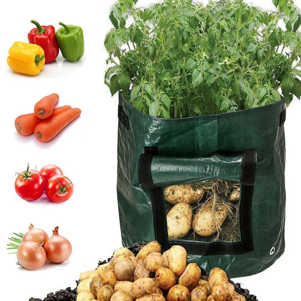 Dark green PE cloth garden planting bag with potatoes, featuring breathable and eco-friendly materials, suitable for balcony or garden use.