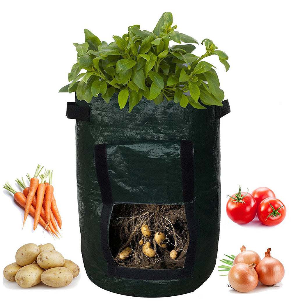 Dark green PE cloth garden planting bag with side window for easy harvesting, featuring small drainage holes, surrounded by fresh produce.