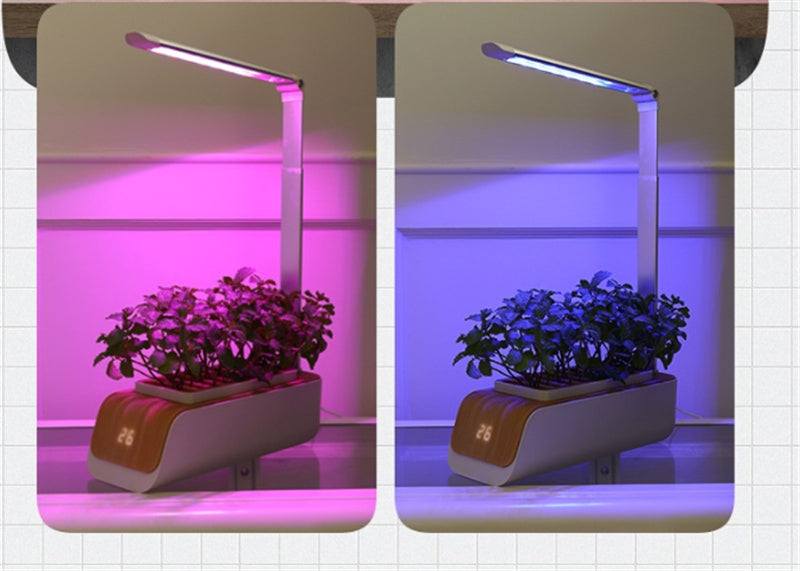 Desk Lamp Hydroponic Indoor Herb Garden Kit with LED Grow Light for Plant Growth.