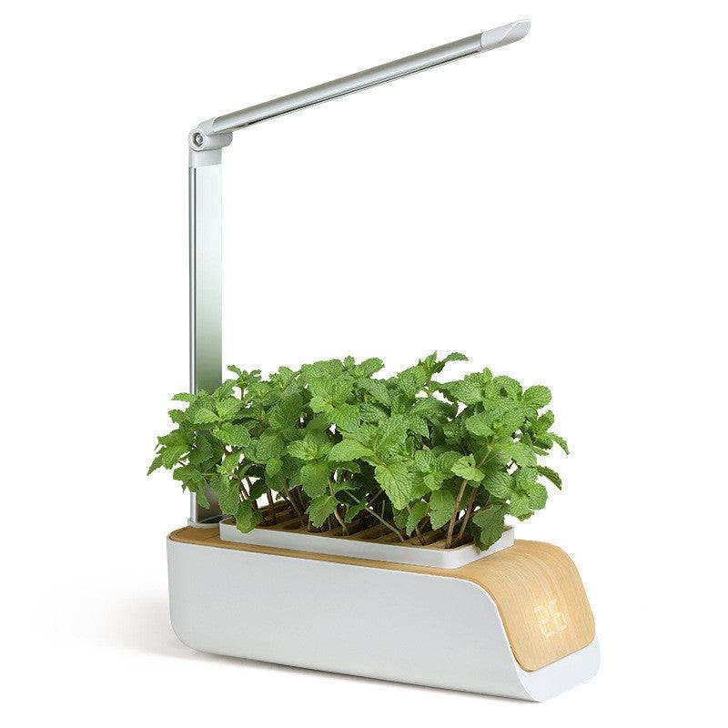 Desk lamp hydroponic indoor herb garden kit with LED light for plant growth.