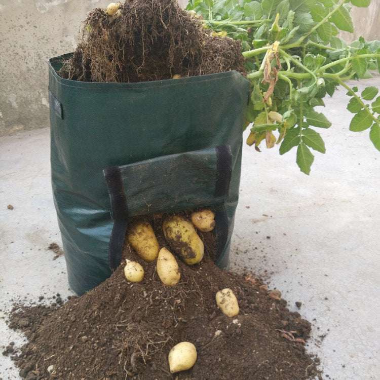 Dark green PE cloth garden planting bag with side window for easy potato harvesting, shown with potatoes spilling out, ideal for outdoor use.