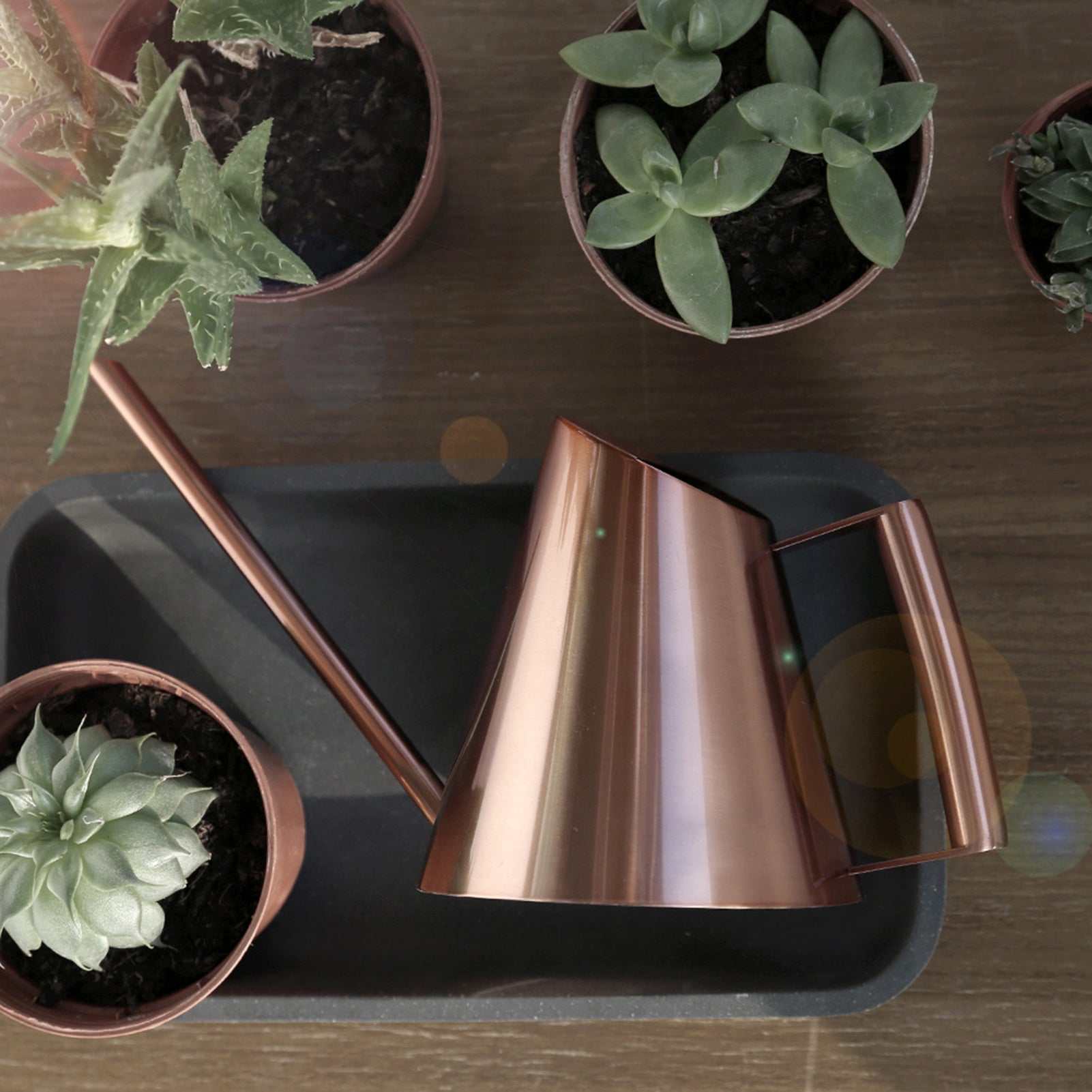 Household stainless steel watering can in bronze with a sleek design, ideal for indoor and outdoor gardening.