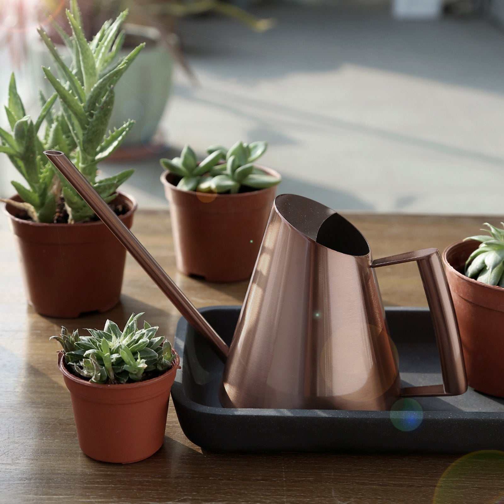 Household stainless steel watering can in bronze with ergonomic handle, surrounded by potted plants.