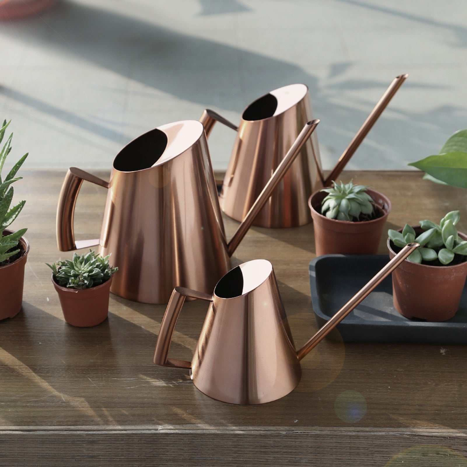 Bronze household stainless steel watering cans on a wooden table with potted plants.