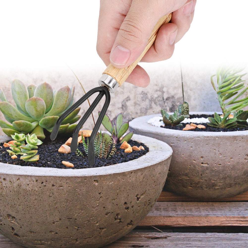 Mini plant gardening tools set used in potted succulents.