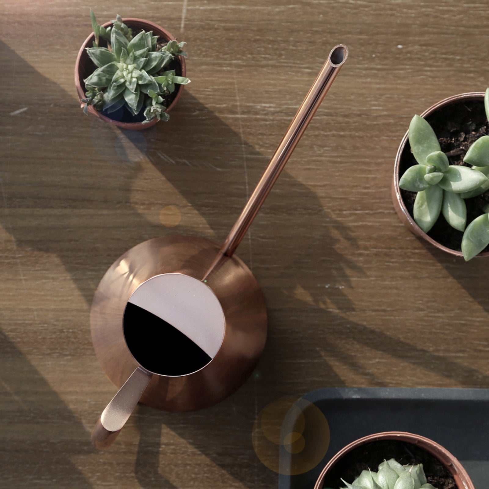 Household stainless steel watering can with long spout, bronze finish, surrounded by potted plants.