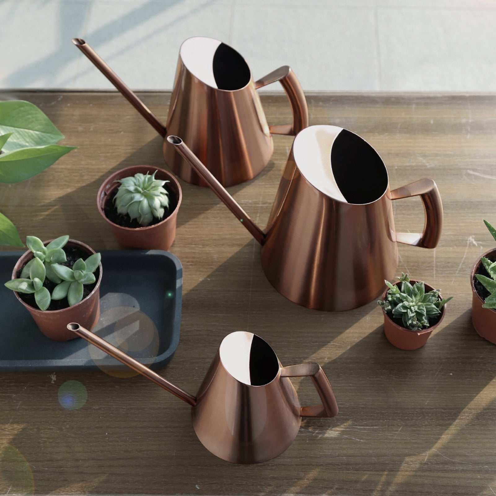 Household stainless steel bronze watering cans on a table with potted plants.