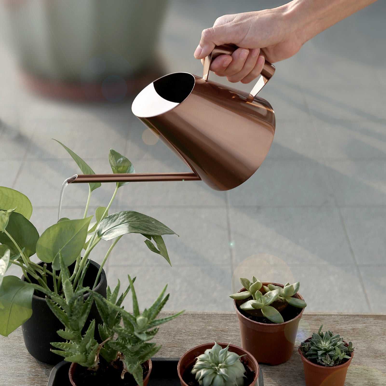 Bronze stainless steel watering can for indoor and outdoor gardening.
