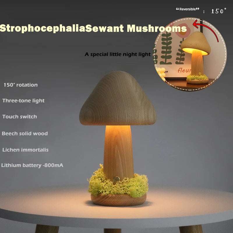 Twisted Mushroom Night Warm Light with Touch Sensor on a Beech Base.