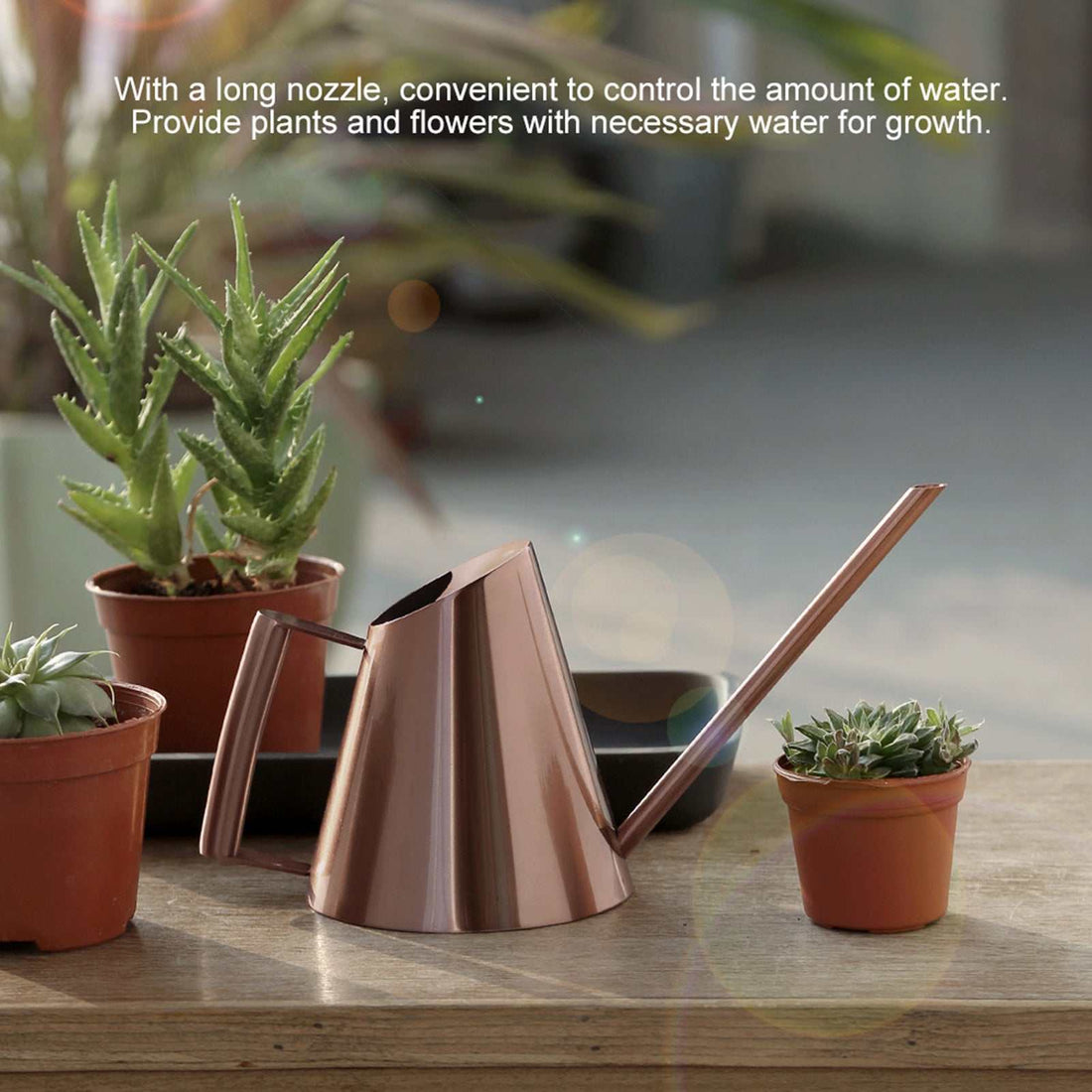 Household stainless steel watering can with long nozzle for precise plant watering.